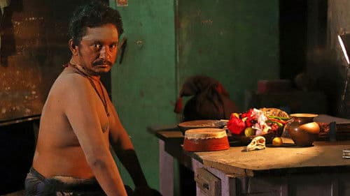 बारडोवी Bild 1