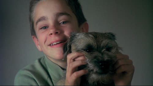 Mein Leben als Hund Bild 2