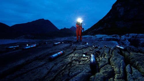 Acoustic Ocean Bild 5