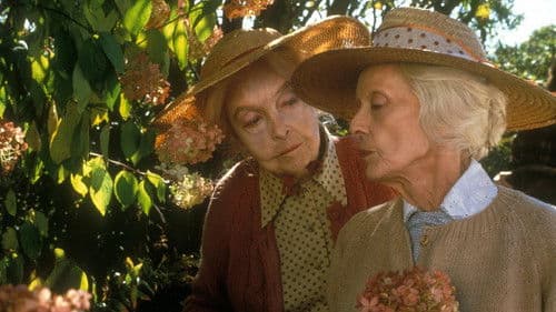 Wale im August Bild 1