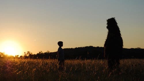 Into the Who Knows! Bild 1