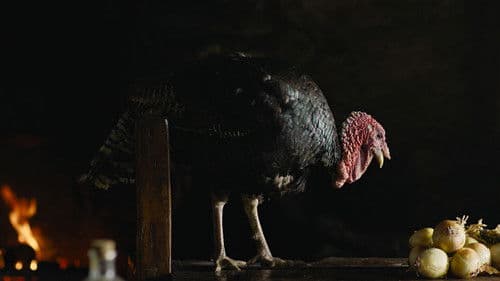 Mãos no fogo Bild 3