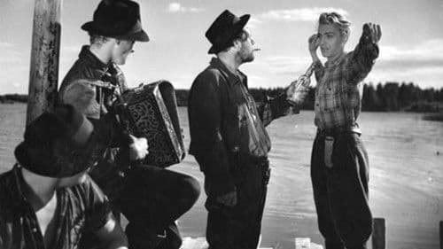 Ihmiset suviyössä Bild 1