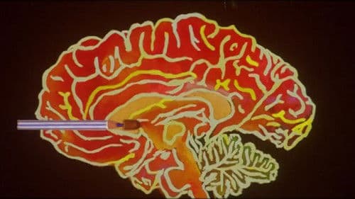 Die zauberhafte Welt der Sachiko Hanai Bild 3