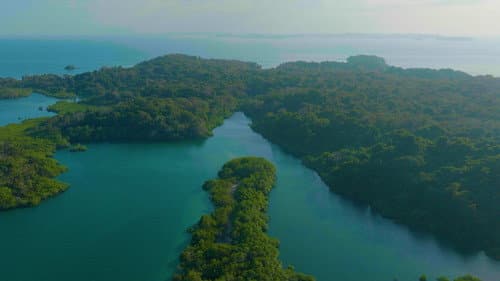 Survivor Québec Bild 1