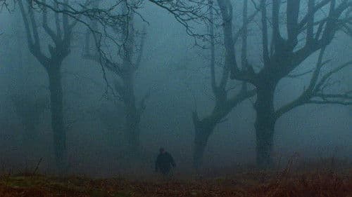 Negu hurbilak Bild 2