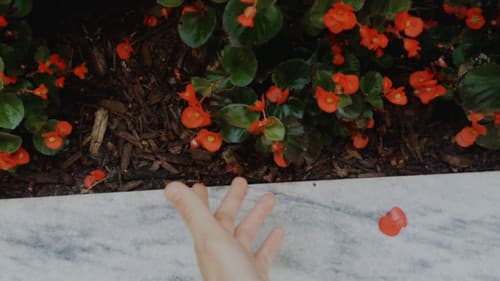 AURORA: Nothing Is Eternal Bild 1