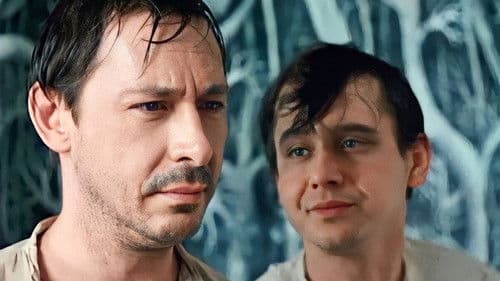 Leuchte, mein Stern, leuchte Bild 1