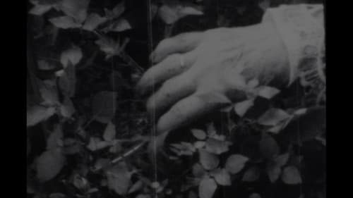 Manta de granizo Bild 1