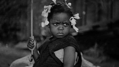 Die erste Nacht im Freien Bild 2