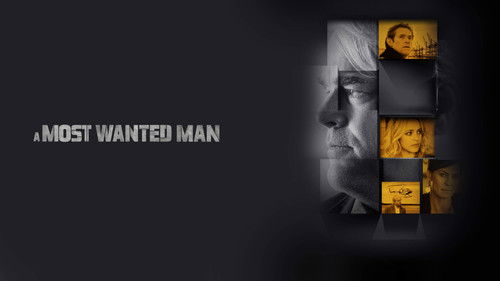 A Most Wanted Man Bild 4