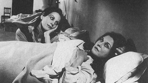 Fortunata y Jacinta Bild 1