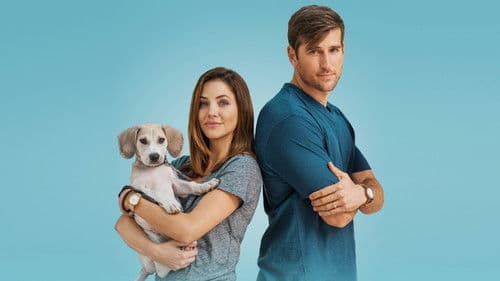 Wie erziehe ich meinen Mann? Bild 6