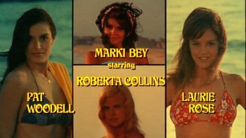 The Roommates Bild 1