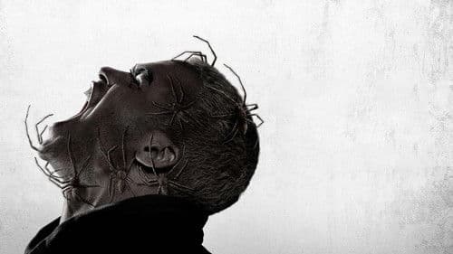 Spiders - Ihr Biss ist der Tod Bild 4