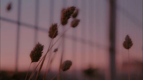 Growing Pains Bild 1