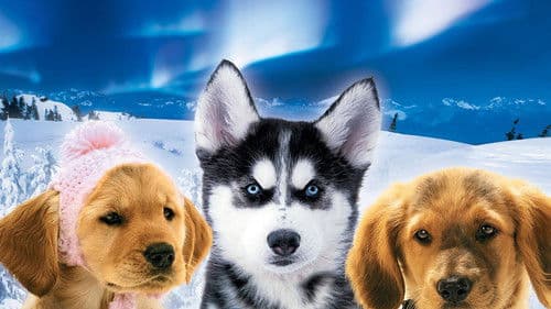 Snow Buddies - Abenteuer in Alaska Bild 3