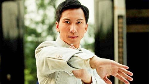 Ip Man Zero Bild 3
