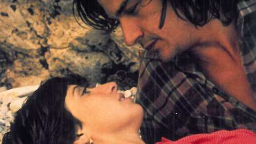 Der letzte Sommer Bild 2