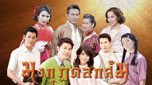 มงกุฎดอกส้ม Bild 5