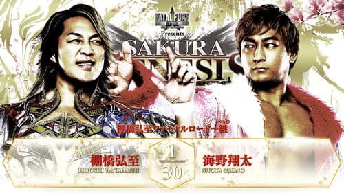 NJPW Sakura Genesis 2025 Bild 5