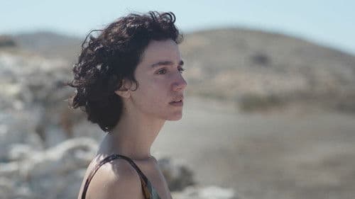 ΠΙΤΥΛΟΣ Bild 1