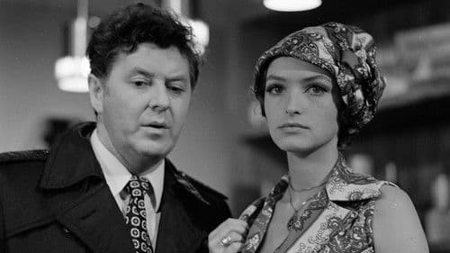 Konec semestru Bild 2