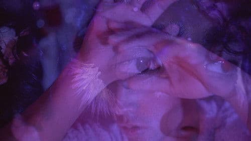 Canciones para el fin del mundo Bild 6