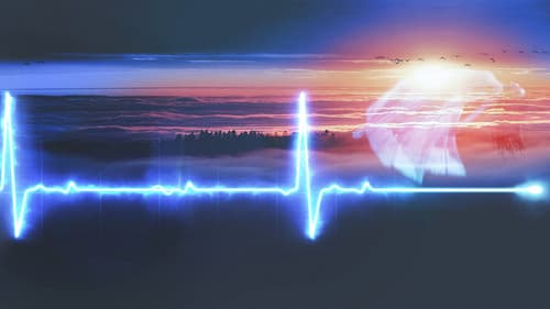 Jenseits des Todes Bild 6