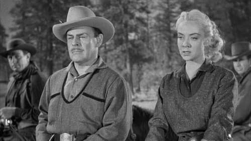 Am Tode vorbei Bild 1