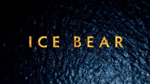 Polar Bears: Ice Bear Bild 4