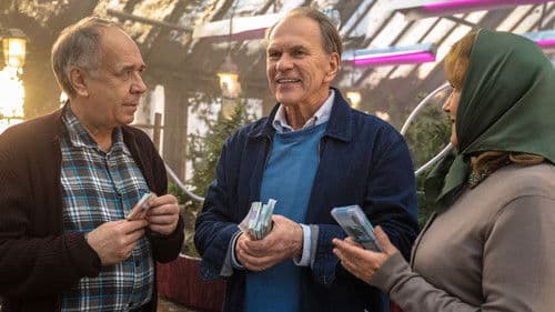 Старые шишки Bild 1