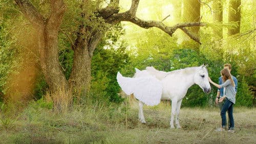 Pegasus - Das Pferd mit den magischen Flügeln Bild 2