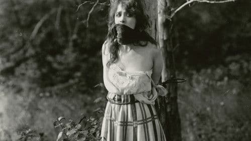 Under the Greenwood Tree Bild 1