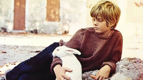 Ein Sommer in Frankreich Bild 3