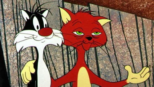 Die anonymen Vogelfresser Bild 7