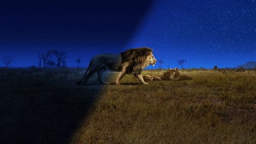 Die Welt in den Farben der Nacht Bild 6