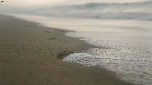 爱的应许之地 Bild 1