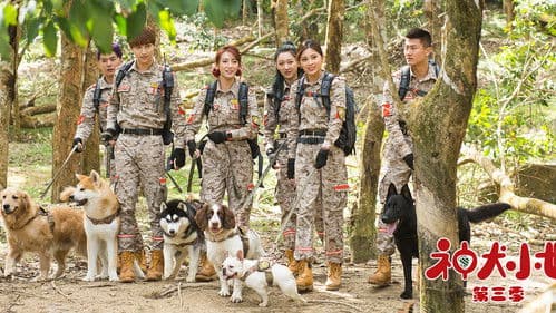 神犬小七3 Bild 1