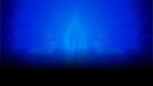 The COVID Experience Bild 1