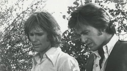 Wild in the Sky Bild 2