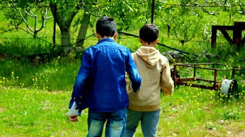 على بُعد أمتار Bild 1