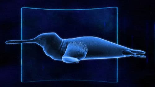 The Future Is Wild Bild 8