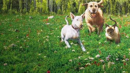 Die unglaubliche Reise Bild 2