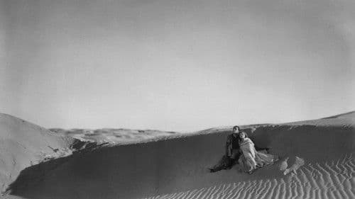 Der Garten Allahs Bild 2