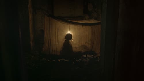 জোনাকি Bild 4