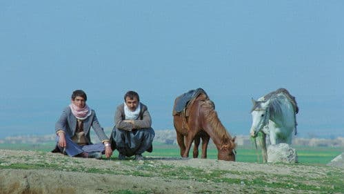 Yol - Der Weg Bild 1