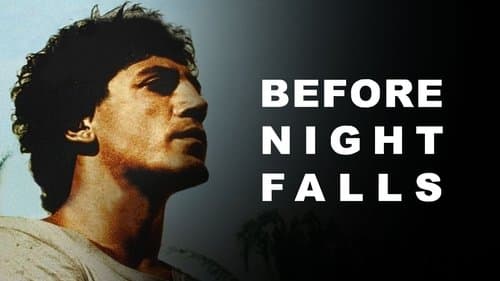 Bevor es Nacht wird Bild 1