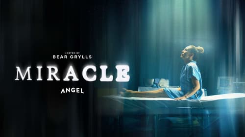 Miracle Bild 1