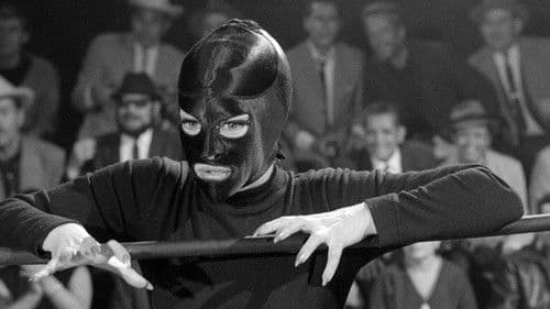 Las mujeres panteras Bild 1